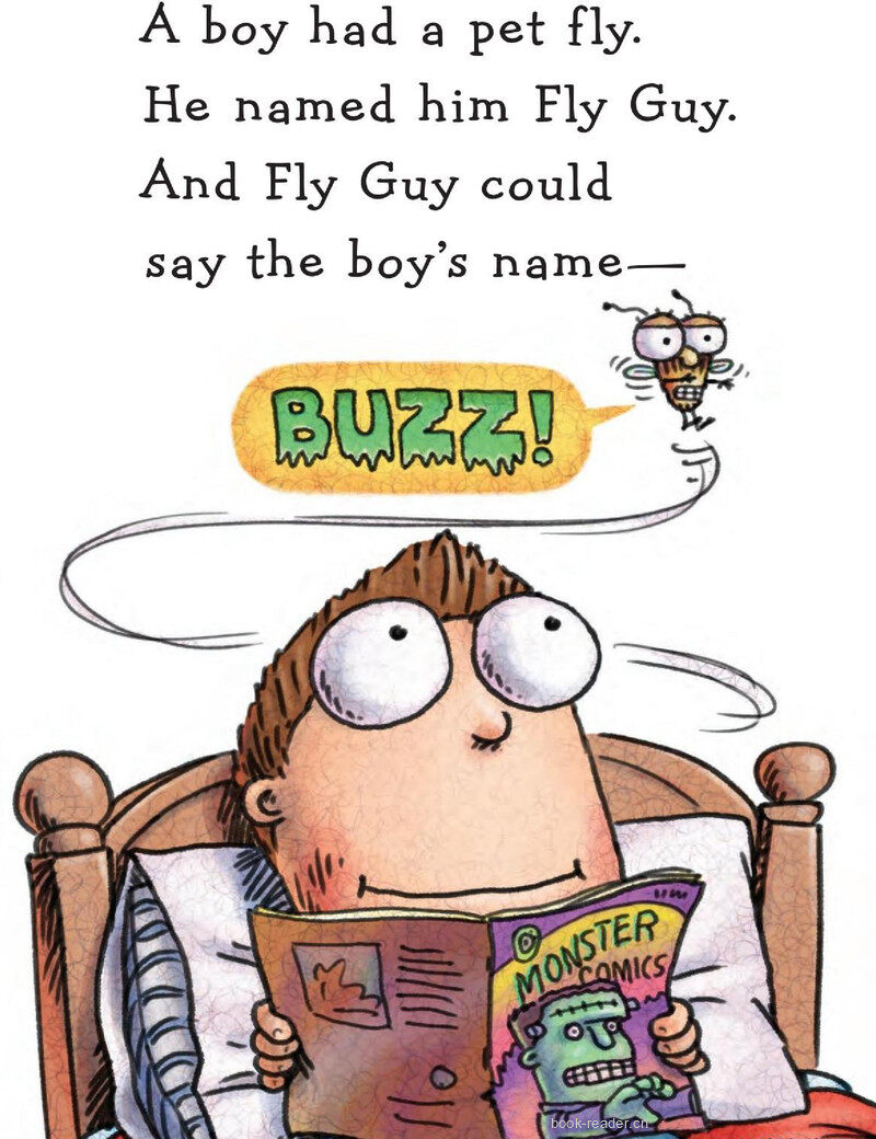 Fly Guy and the Frankenfly绘本故事第3页