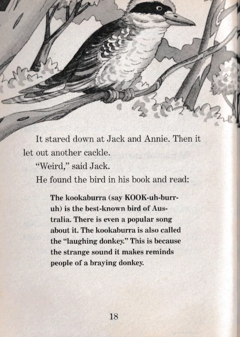 03 Big Foot绘本故事第3页