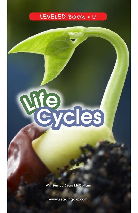 Life Cycles绘本故事第2页