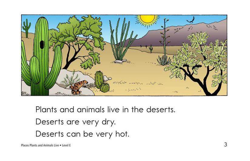 Places Plants and Animals Live绘本故事第3页