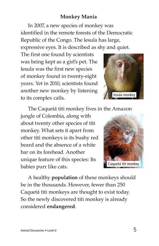 Animal Discoveries绘本故事第4页