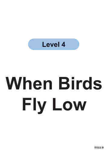 When Birds
