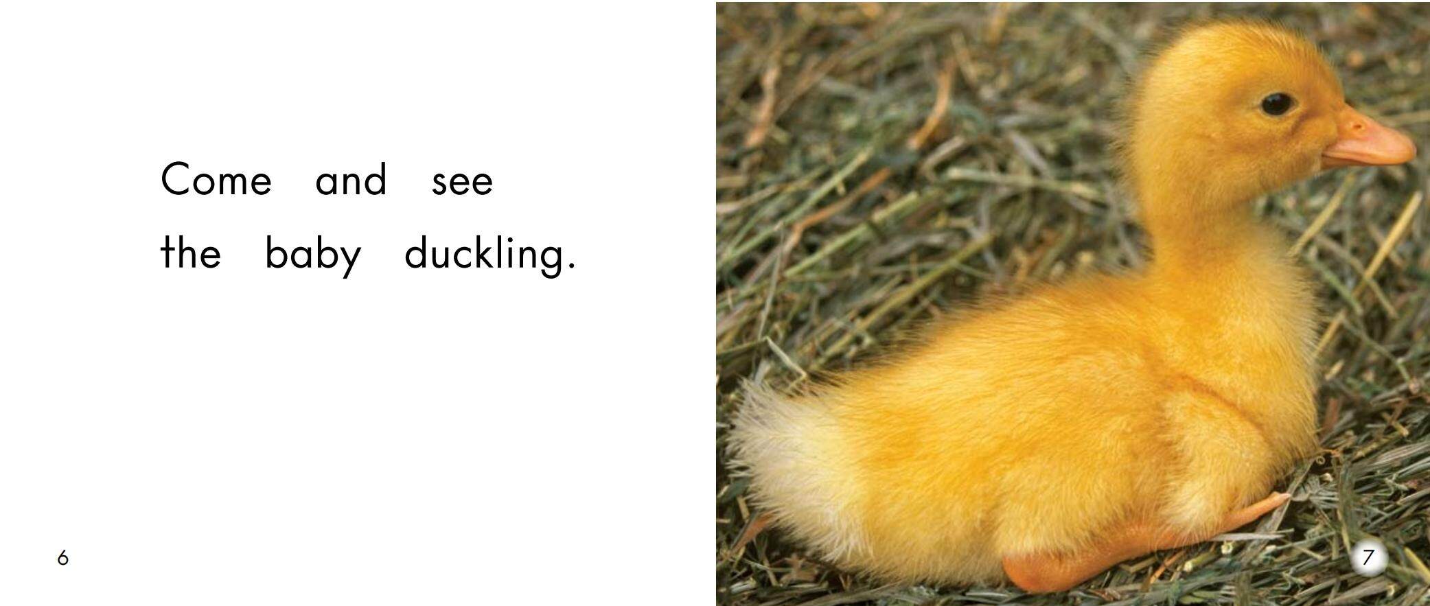 The baby animals绘本故事第5页