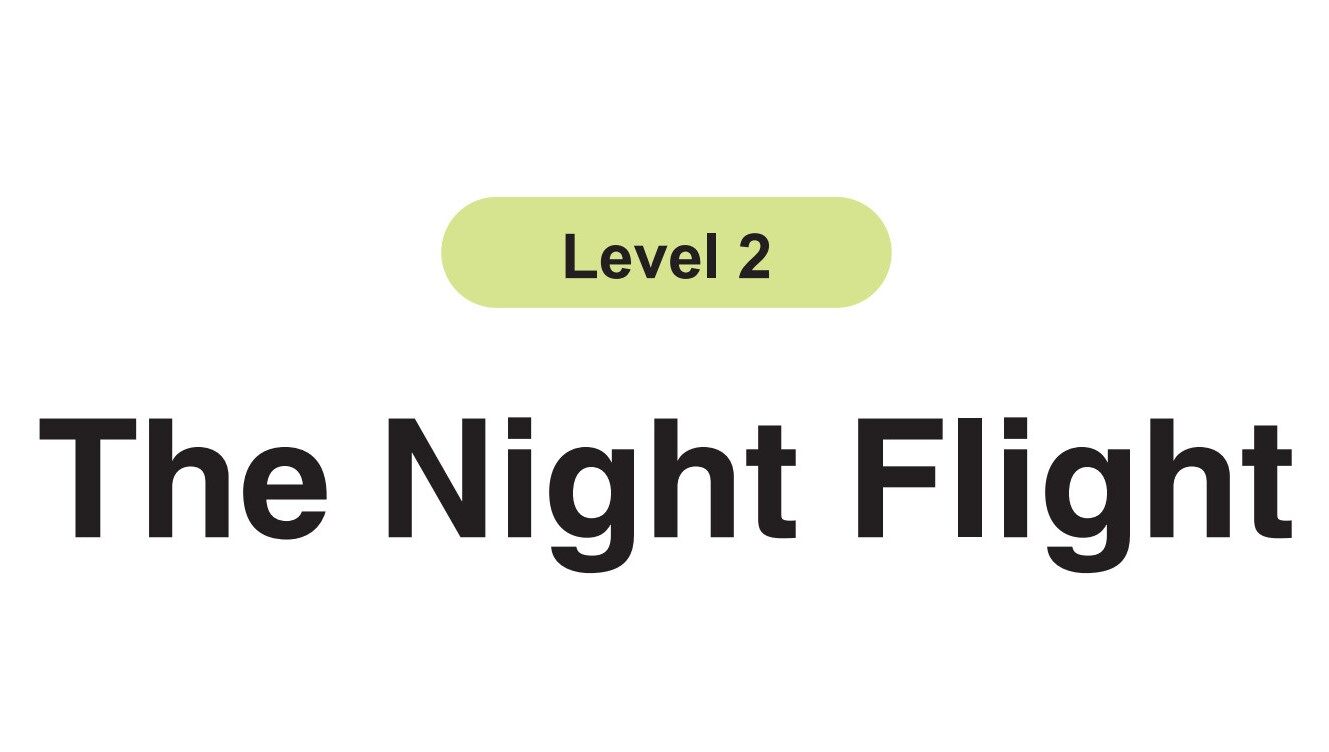 The Night Flight绘本故事第2页