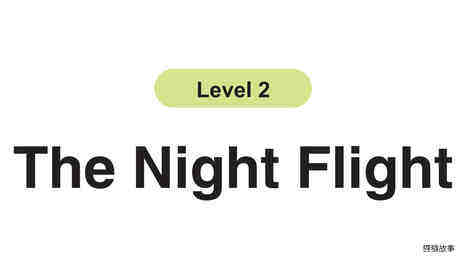 The Night Flight绘本故事第2页