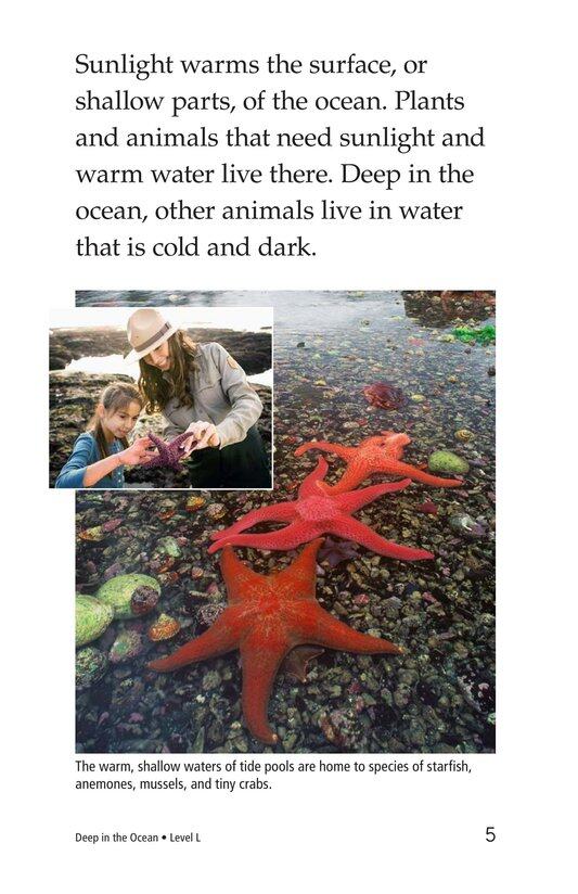 Deep in the Ocean绘本故事第4页