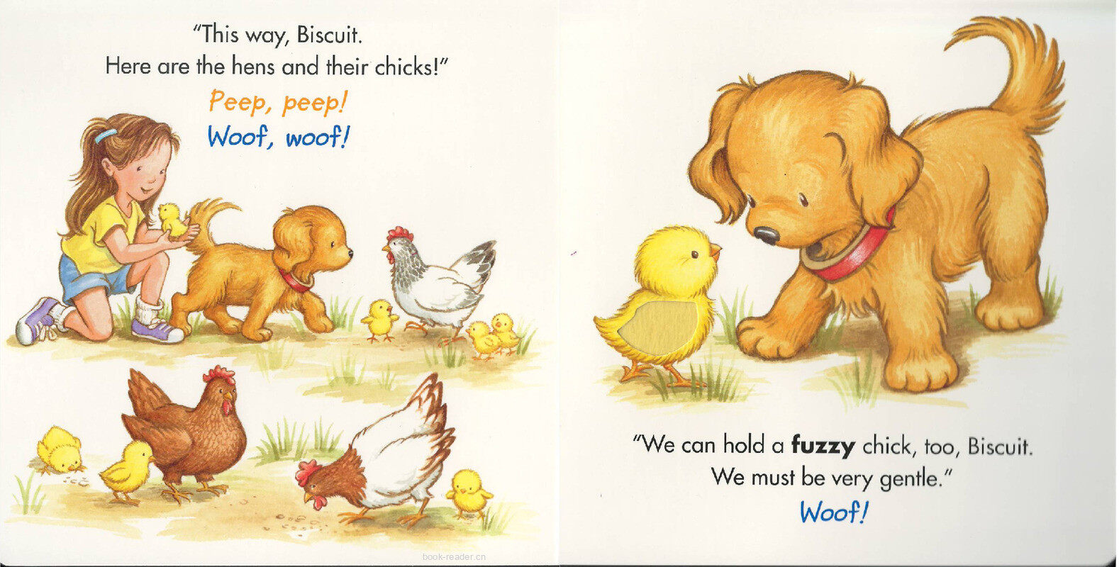 Biscuit Visits the Petting Zoo绘本故事第5页