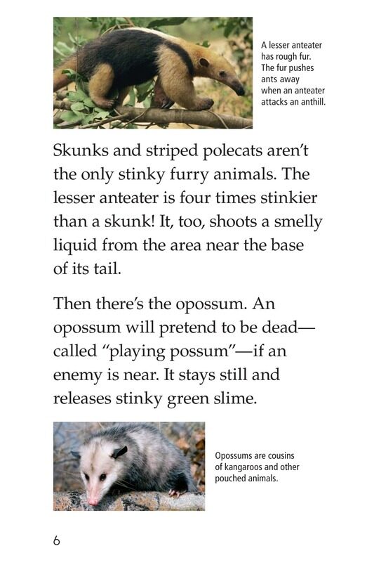 Nature Stinks!绘本故事第5页