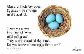 Whose Eggs Are These绘本故事第3页