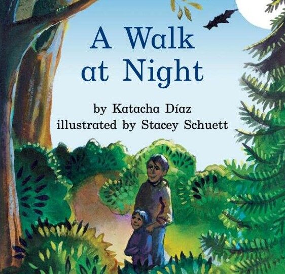 A walk at Night绘本故事第2页