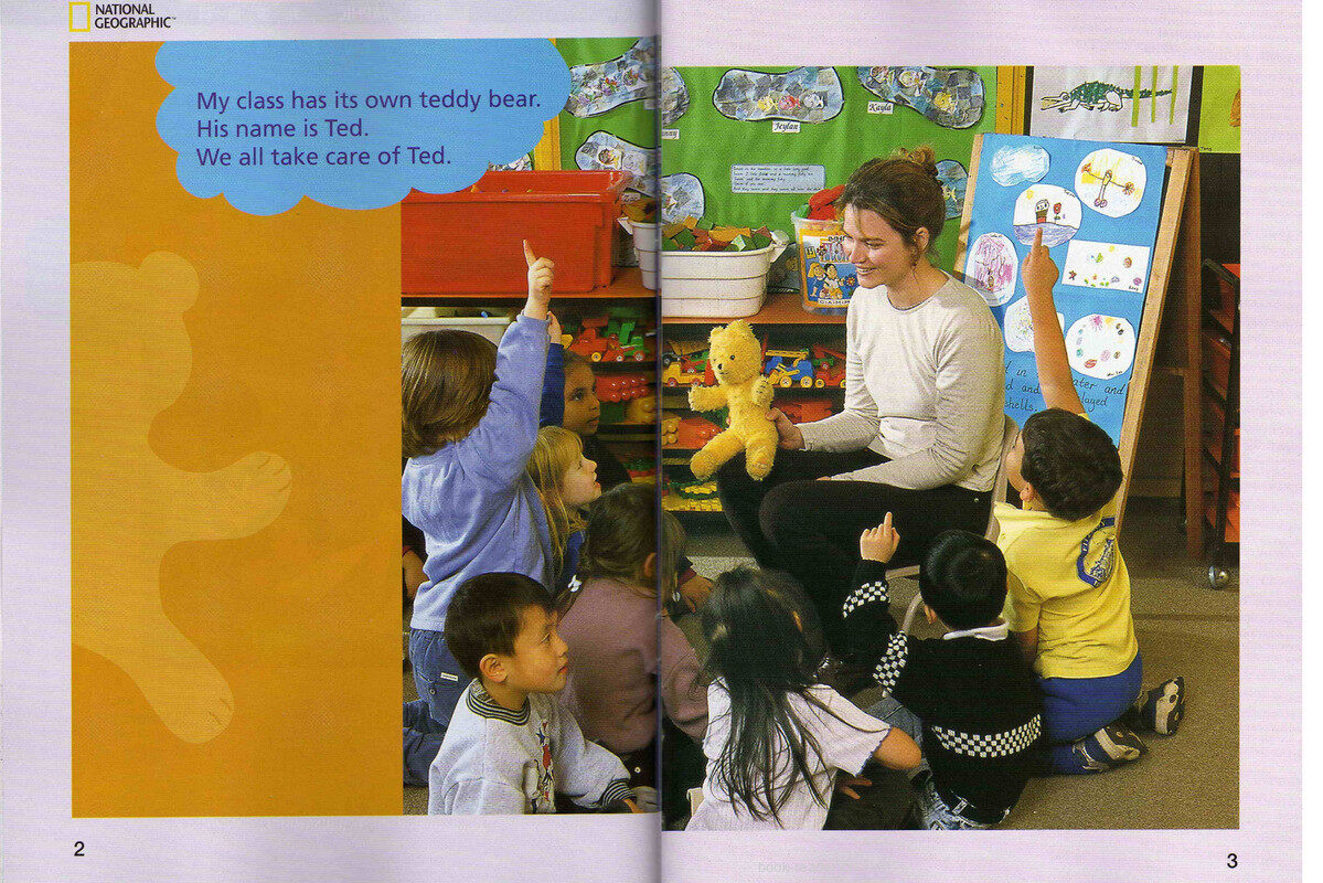 Class Teddy Bear绘本故事第3页