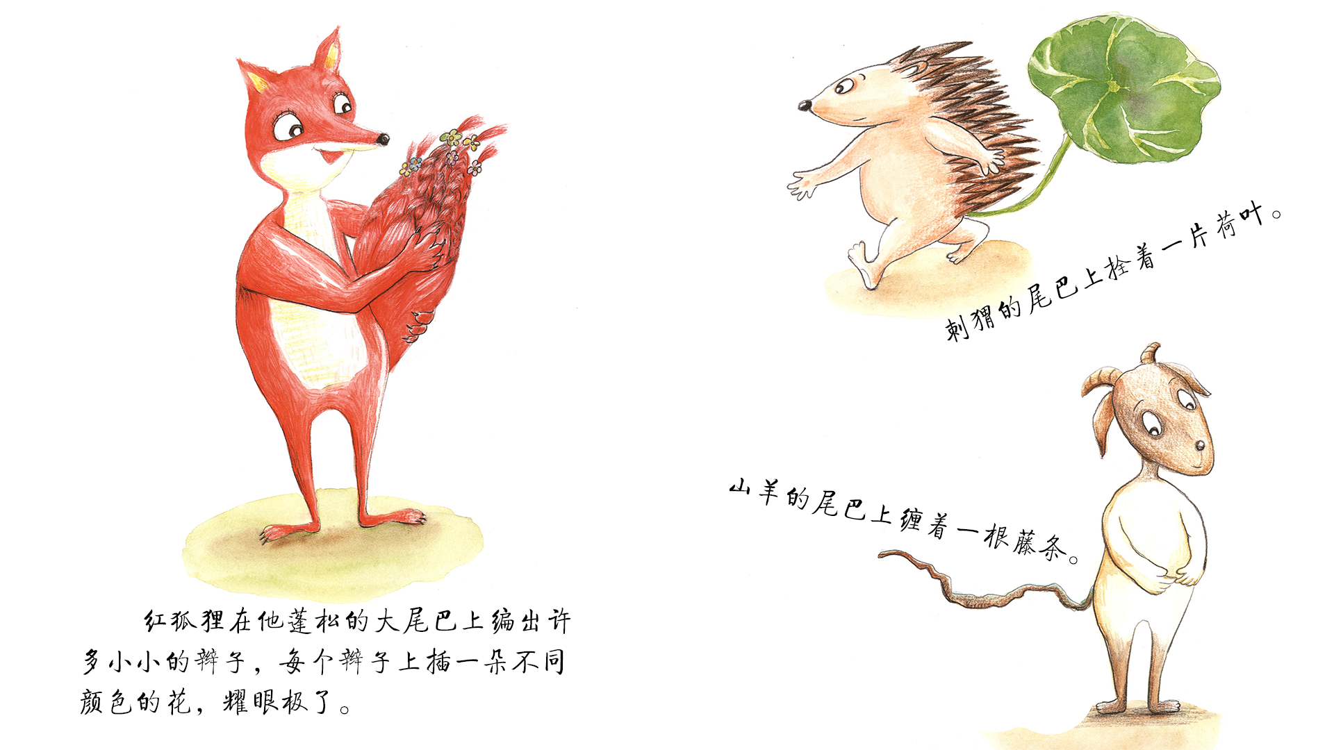 从小受欢迎绘本故事第5页