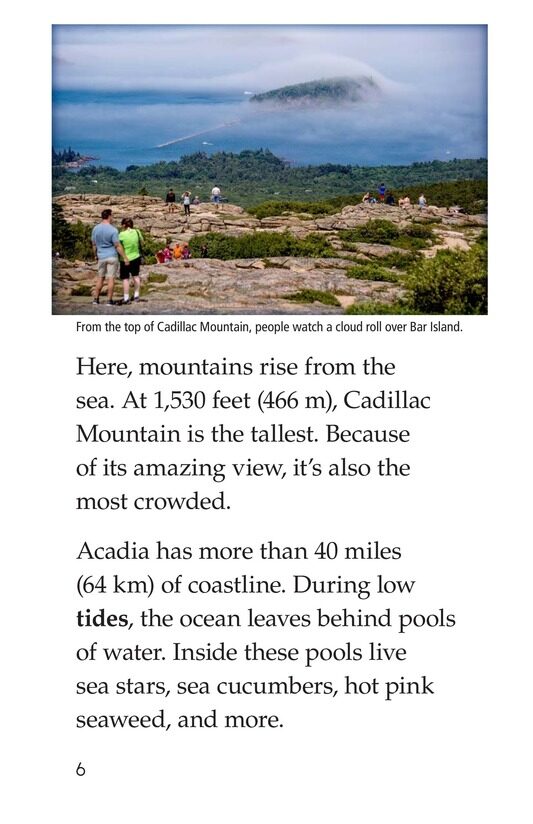 Acadia National Park绘本故事第5页