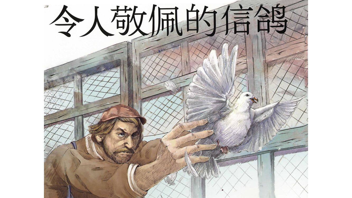 令人敬佩的信鸽绘本故事第2页