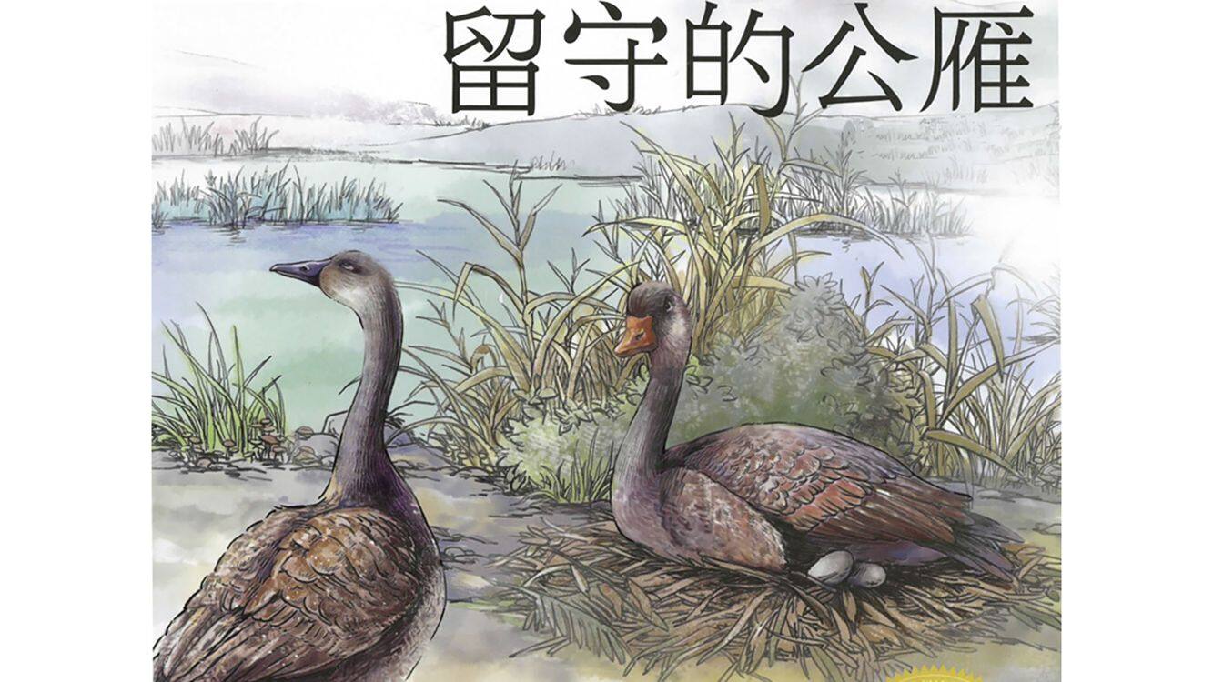 留守的公雁绘本故事第2页