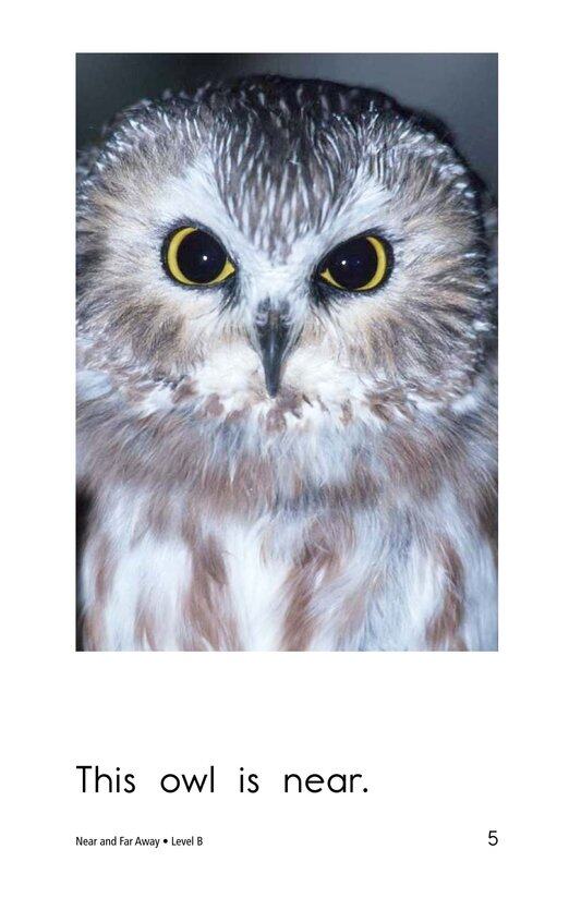 Near and Far Away绘本故事第5页