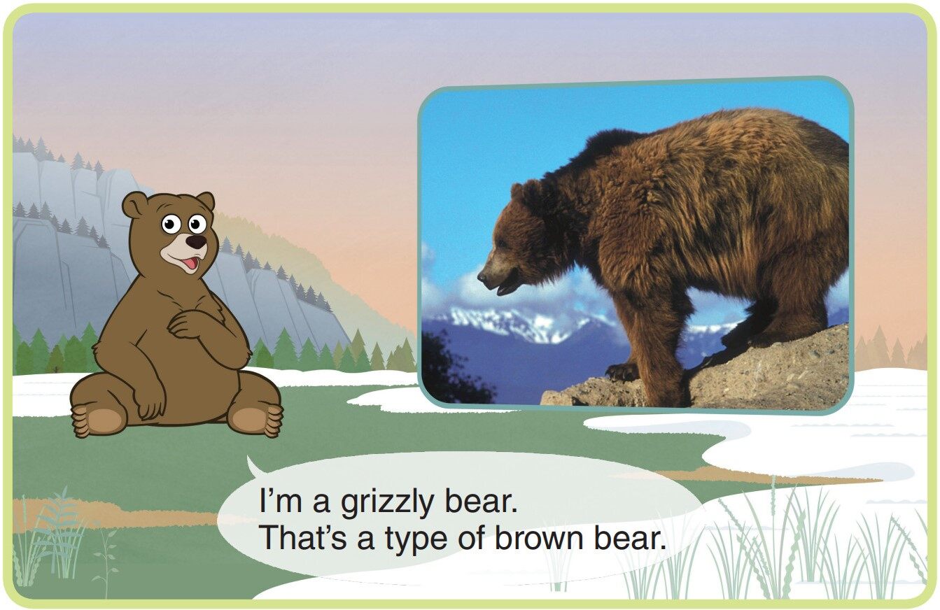 Grizzly Bear绘本故事第3页