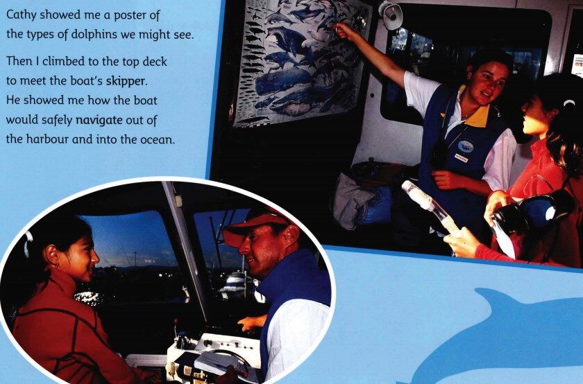 Swimming with Dolphins绘本故事第5页