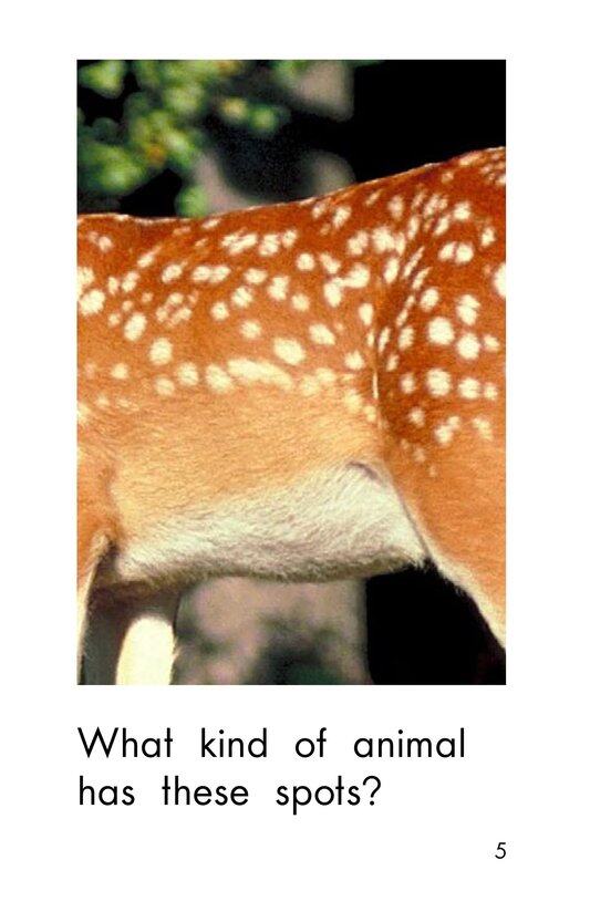 What Has These Spots绘本故事第5页