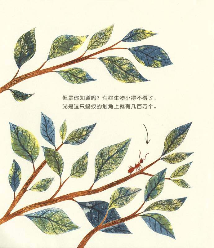 微生物：看不见的魔术师绘本故事第3页