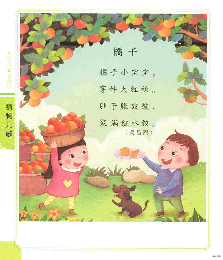 橘子