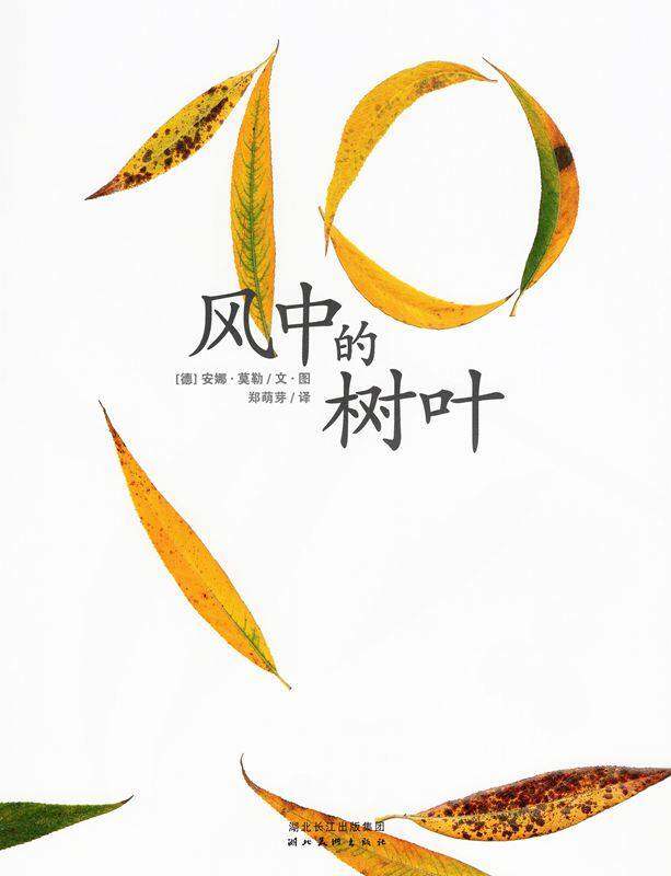 绘本花园：风中的树叶绘本故事第1页