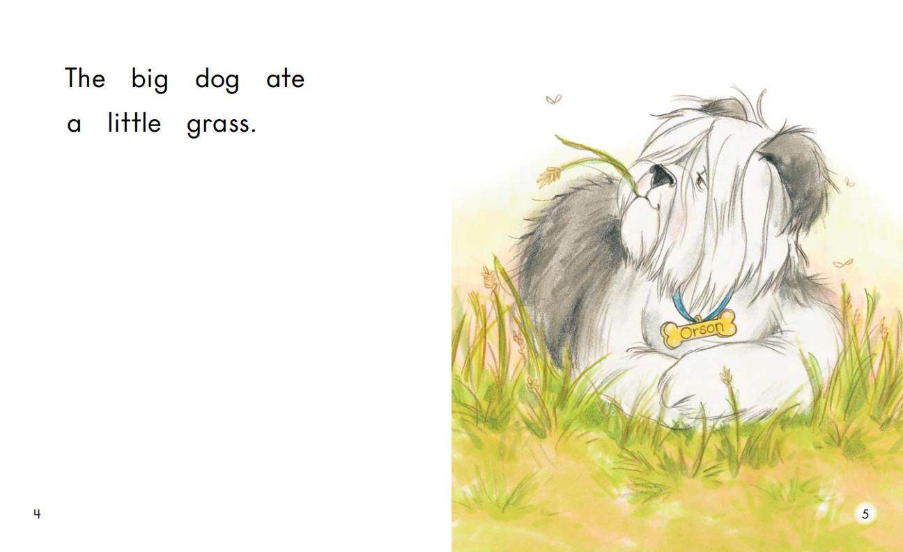 Orson's Tummy Ache绘本故事第4页