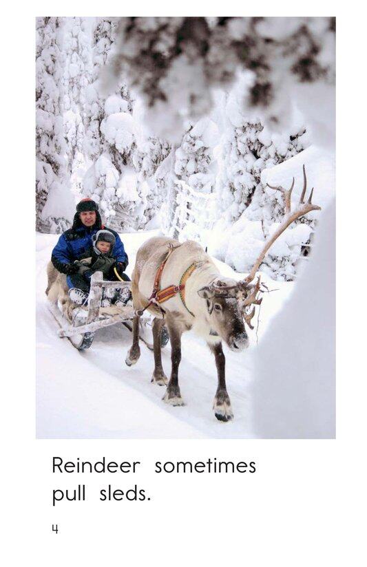 Reindeer Are Real绘本故事第4页