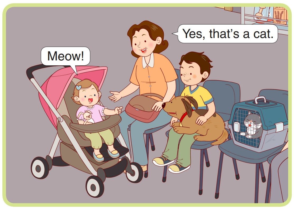 The Vet's Office绘本故事第3页