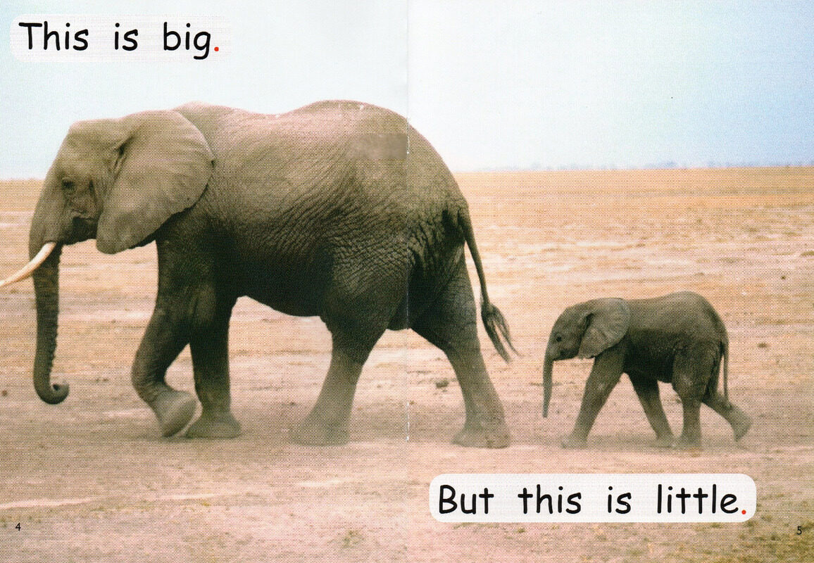 opposites绘本故事第4页