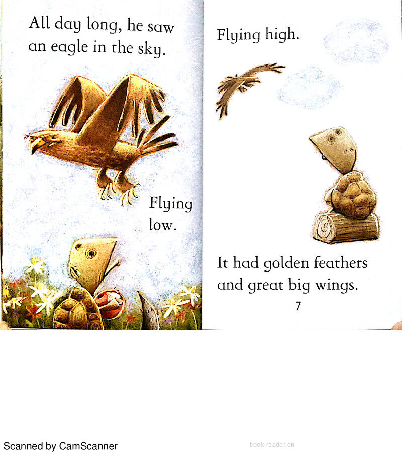 The Tortoise and the Eagle绘本故事第5页