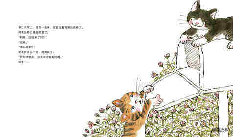 暖房子游乐园：请回信绘本故事第4页