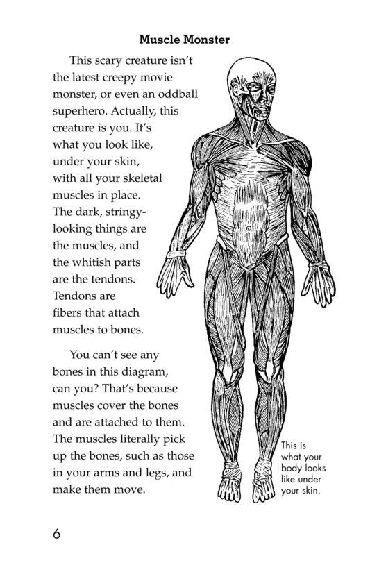 Get Moving! All About Muscles绘本故事第5页