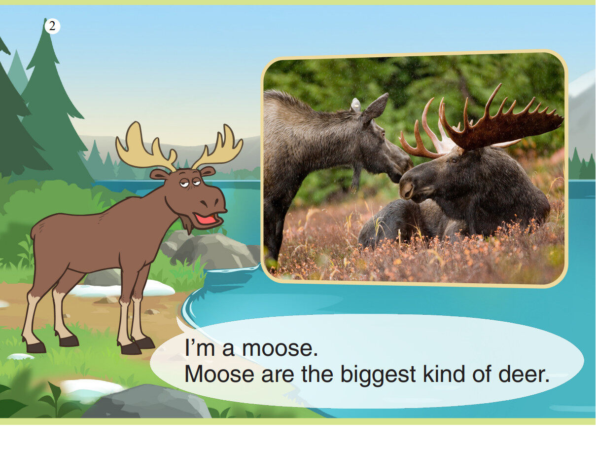 Moose绘本故事第3页