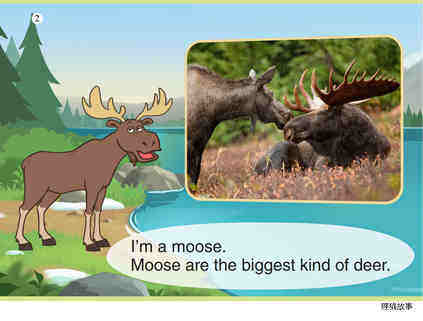 Moose绘本故事第3页
