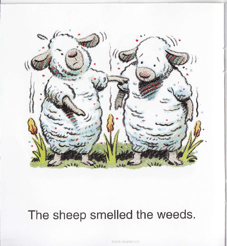 The Sheep Mess绘本故事第5页