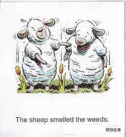 The Sheep Mess绘本故事第5页