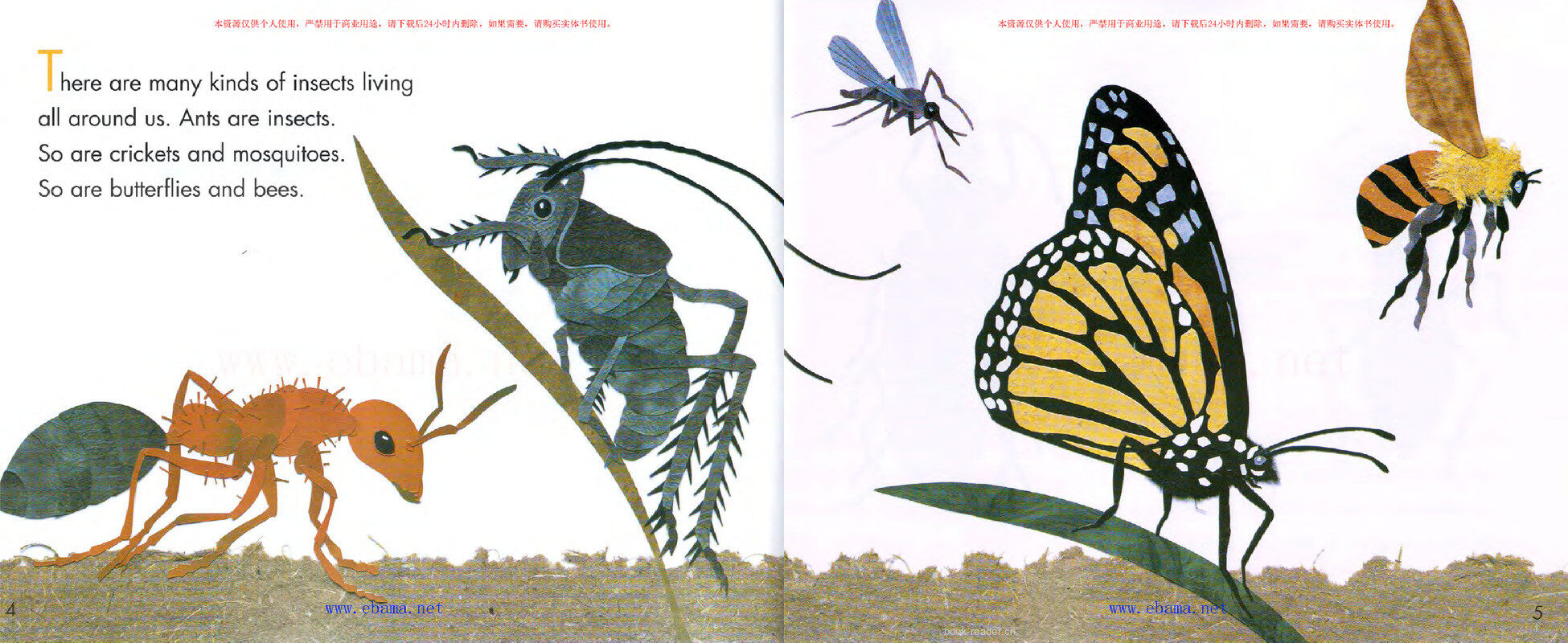 Bugs Are Insects绘本故事第3页