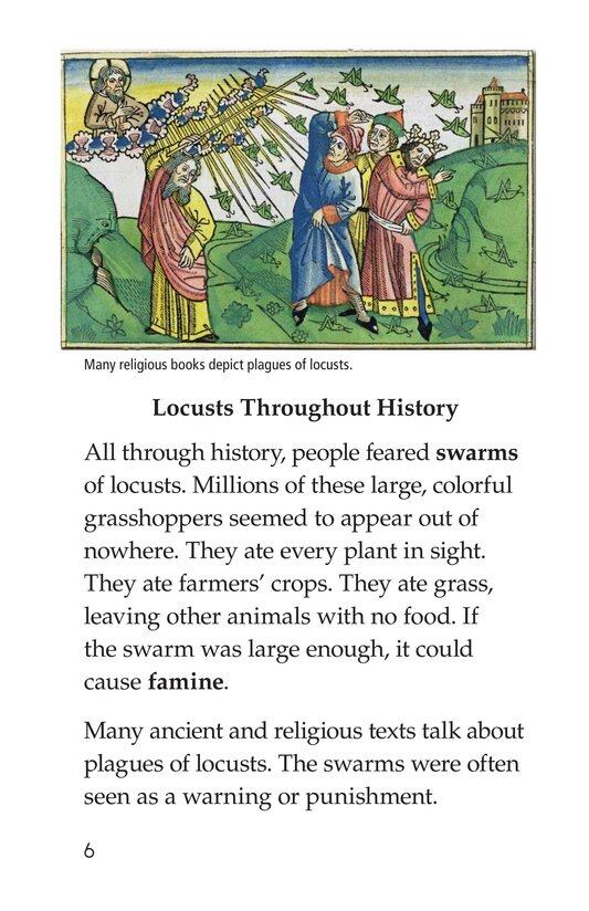 Here Come the Locusts绘本故事第5页