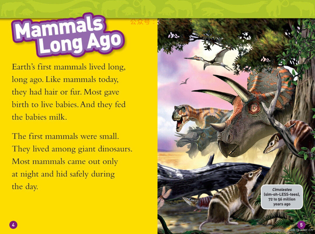 Prehistoric Mammals绘本故事第3页