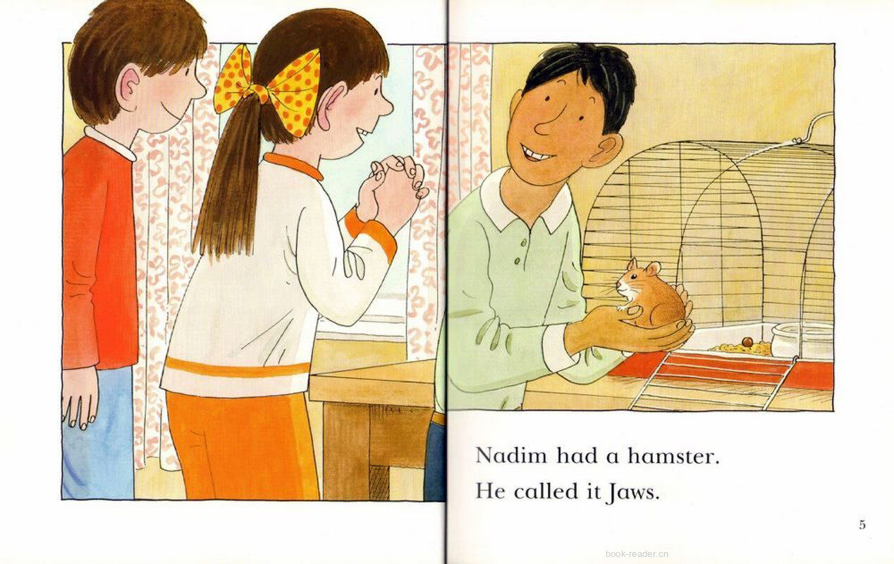 3A Missing绘本故事第3页