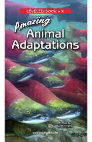 Amazing Animal Adaptations