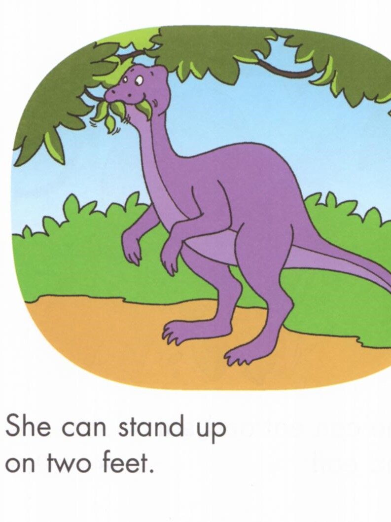 Mama Dinosaur绘本故事第5页