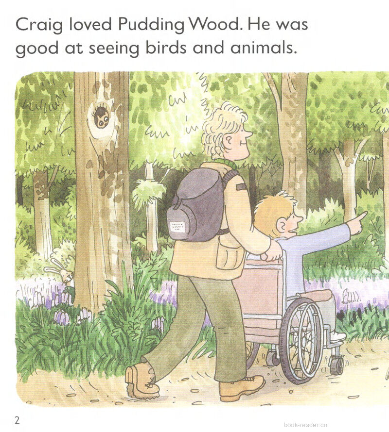 L5 Save Pudding Wood绘本故事第4页