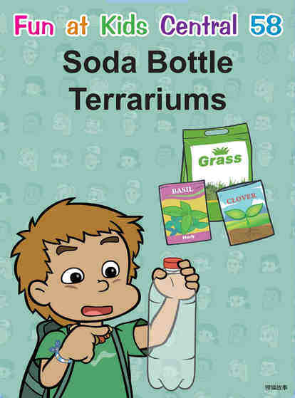 Soda Bottle Terrariums