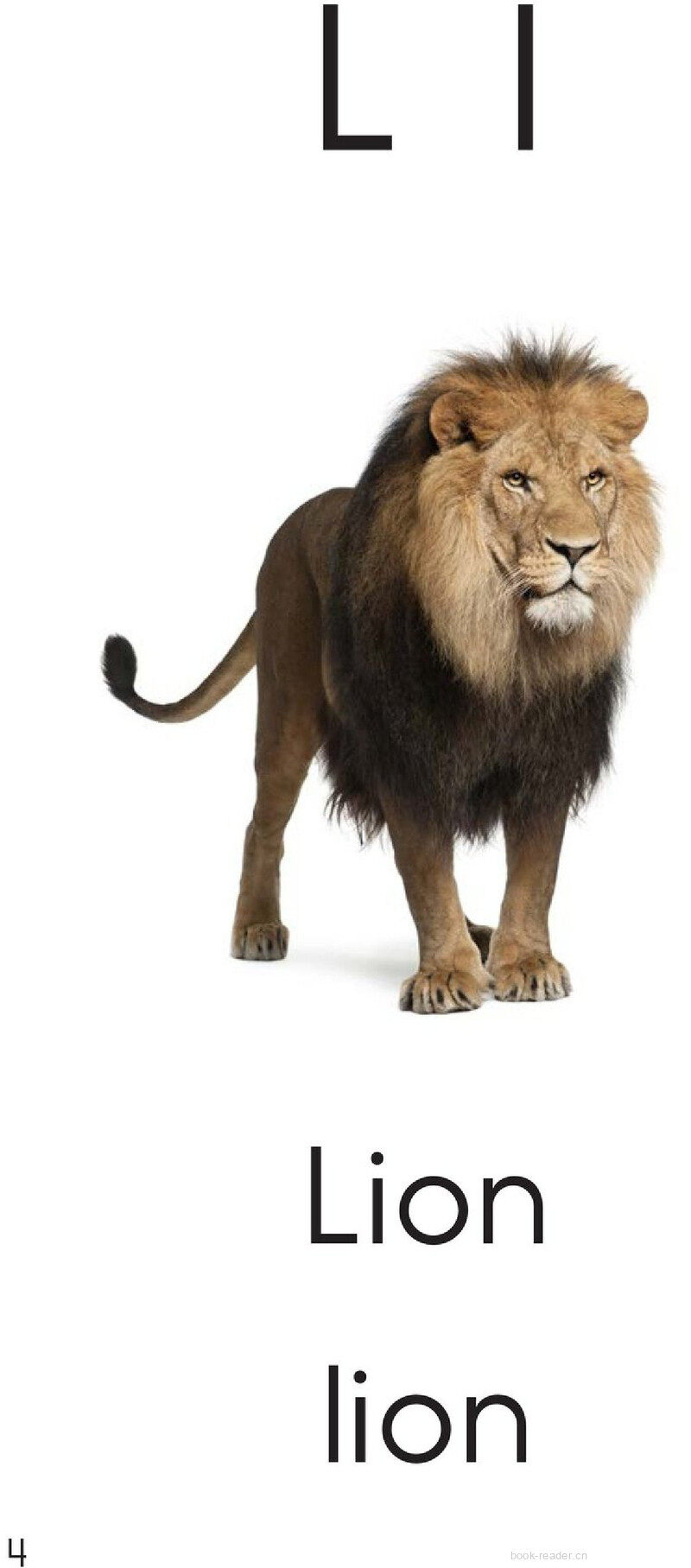 Letter L绘本故事第4页