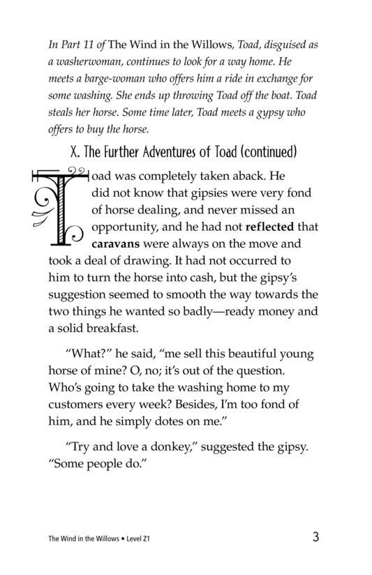 The Wind in the Willows (Part 12)绘本故事第3页