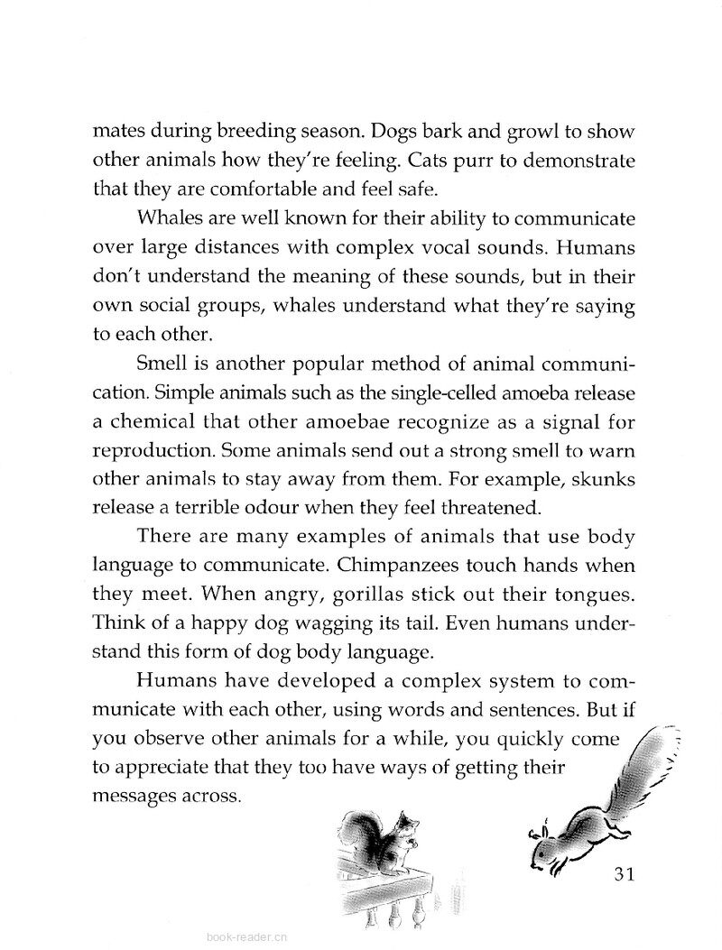 Animal Talk绘本故事第3页
