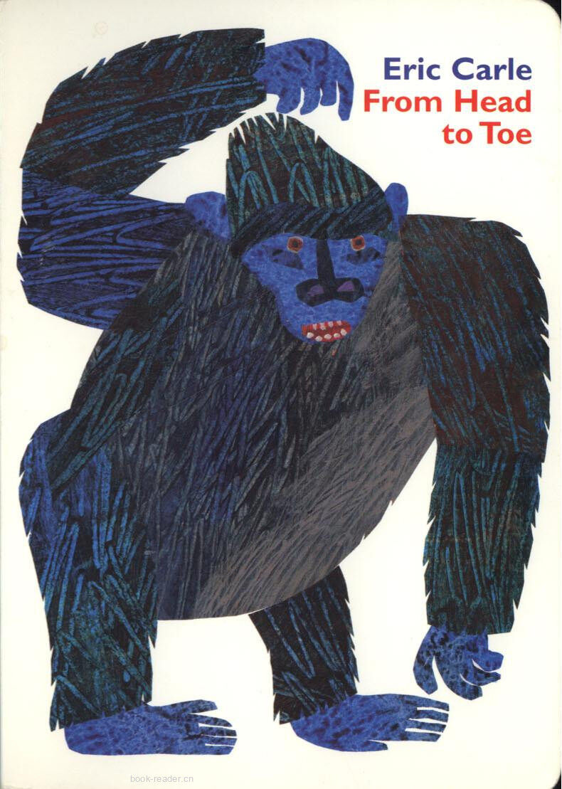 From Head to Toe绘本故事第2页