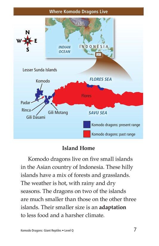 Komodo Dragons Giant Reptiles绘本故事第5页